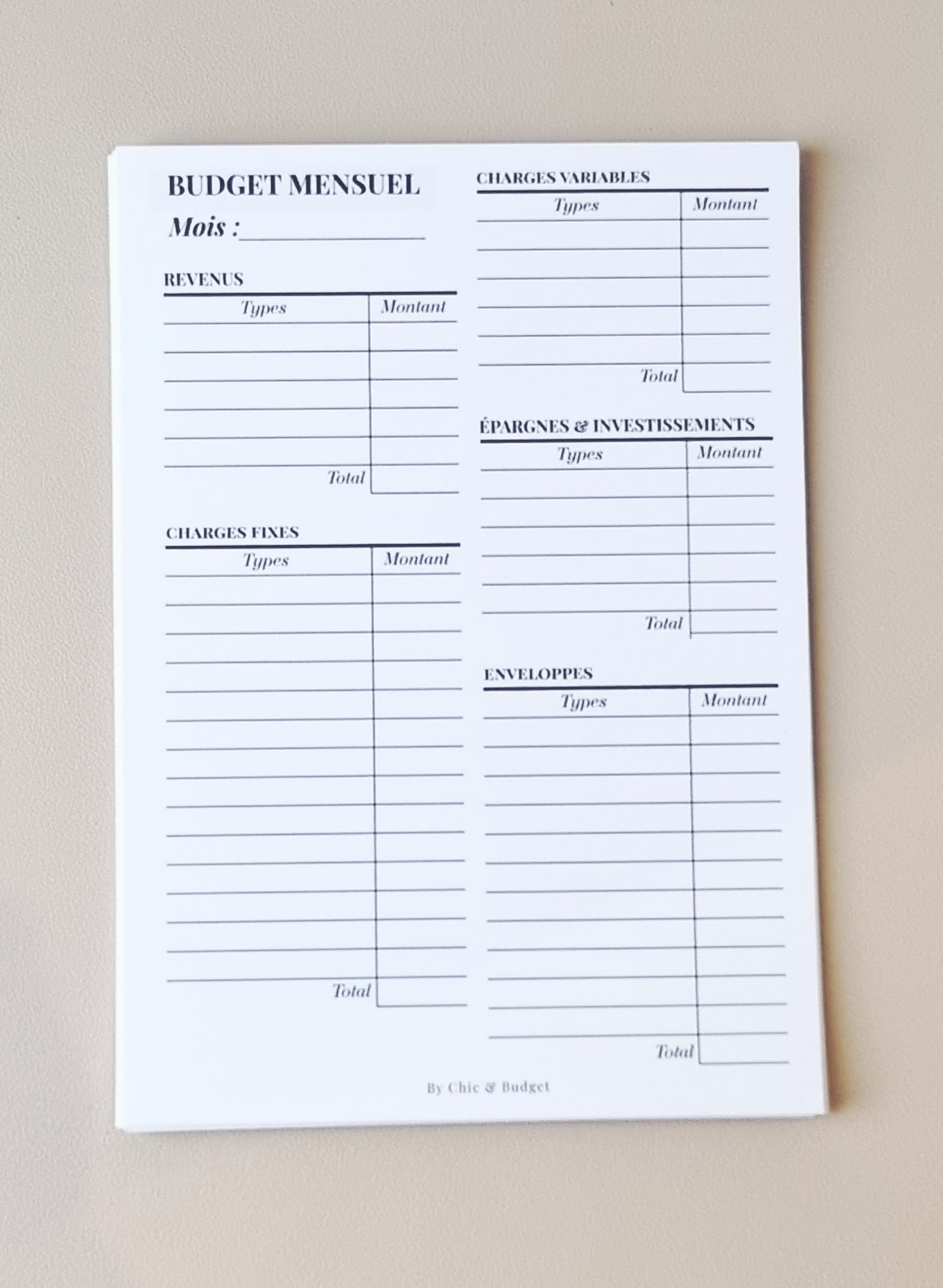 PACK de 12 tableaux "Budget mensuel"